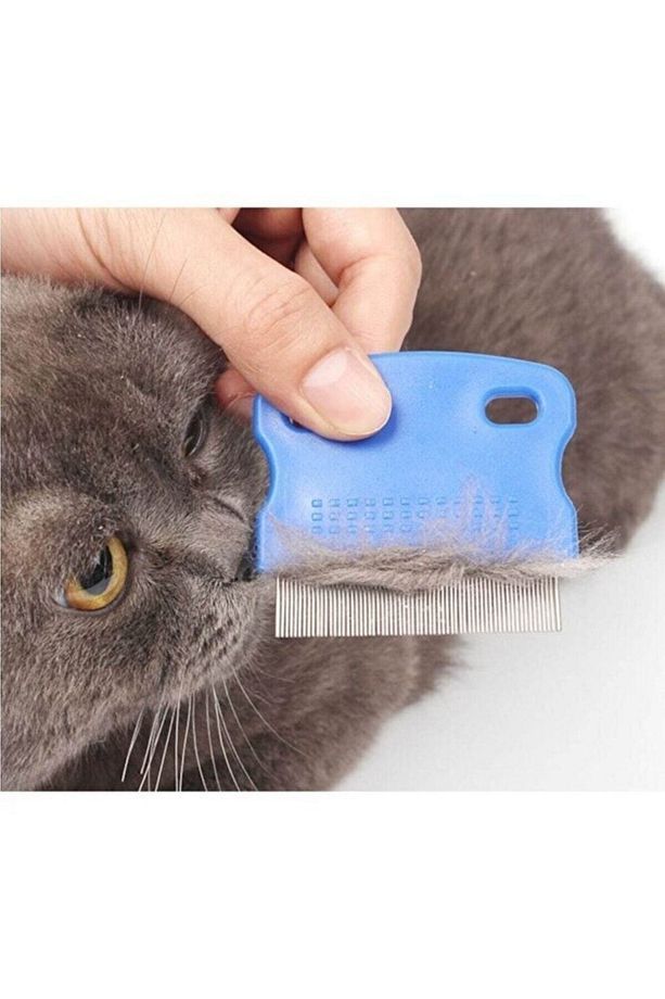 Kedi Köpek Evcil Hayvan Bit Pire Tarağı Demir Iğne Dişli Tarak - 2