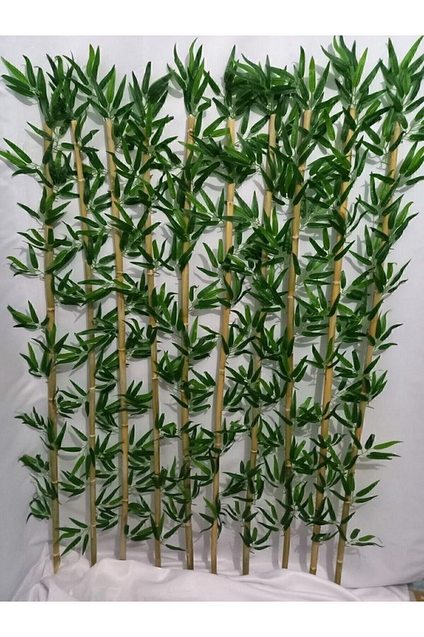 150 Cm Islak Doku Bambu 20 Adet - 1