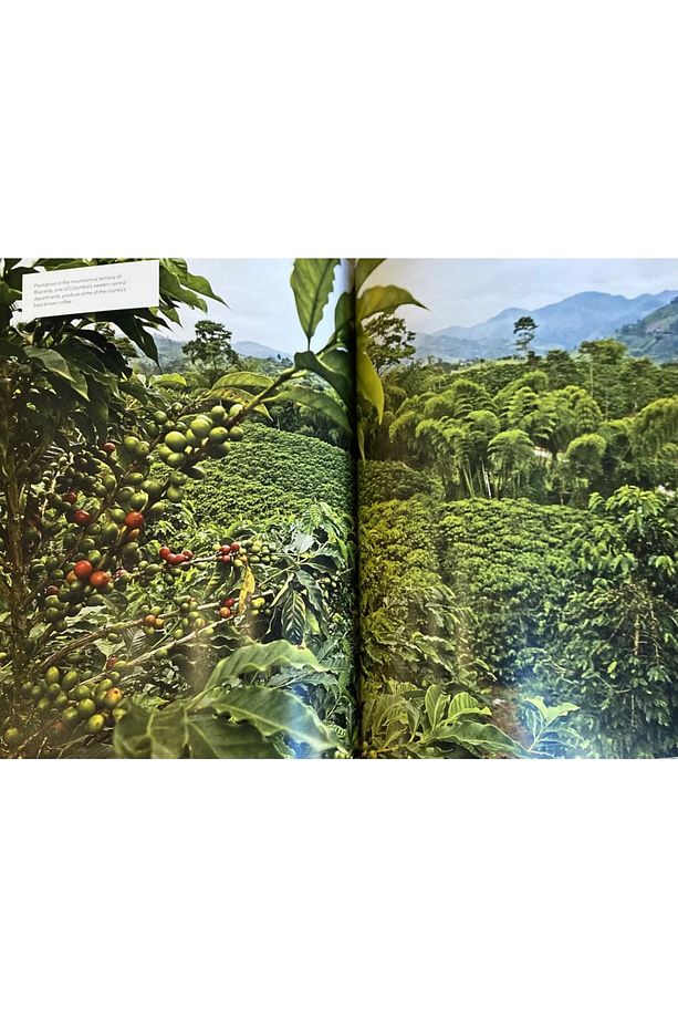 The World Atlas Of Coffee (hardcover) From Beans To Brewing - Coffees Explored, Explained - 5