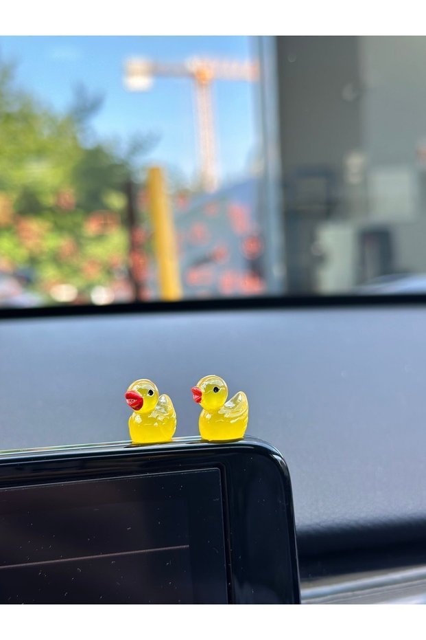Mini Duck Glowing in the Dark (2Pcs)