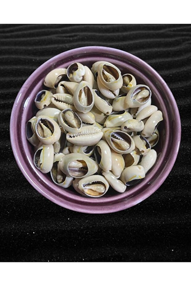 صدفة بحرية طبيعية - خرز سلوقي - موديل قص - ( 10 قطع ) - قبرصي