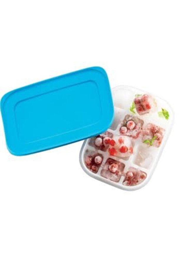 Alaska Buz Devri Mini Buz Kalıbı - 2