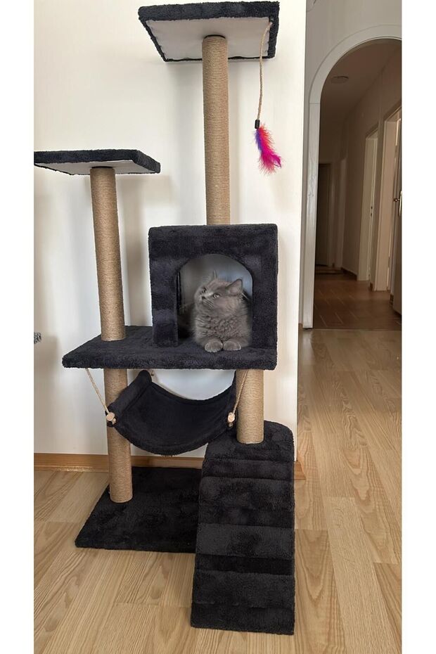 Cat Scratching House and Play Platform - Convenient Use