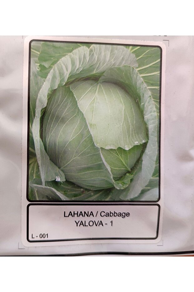 Lahana