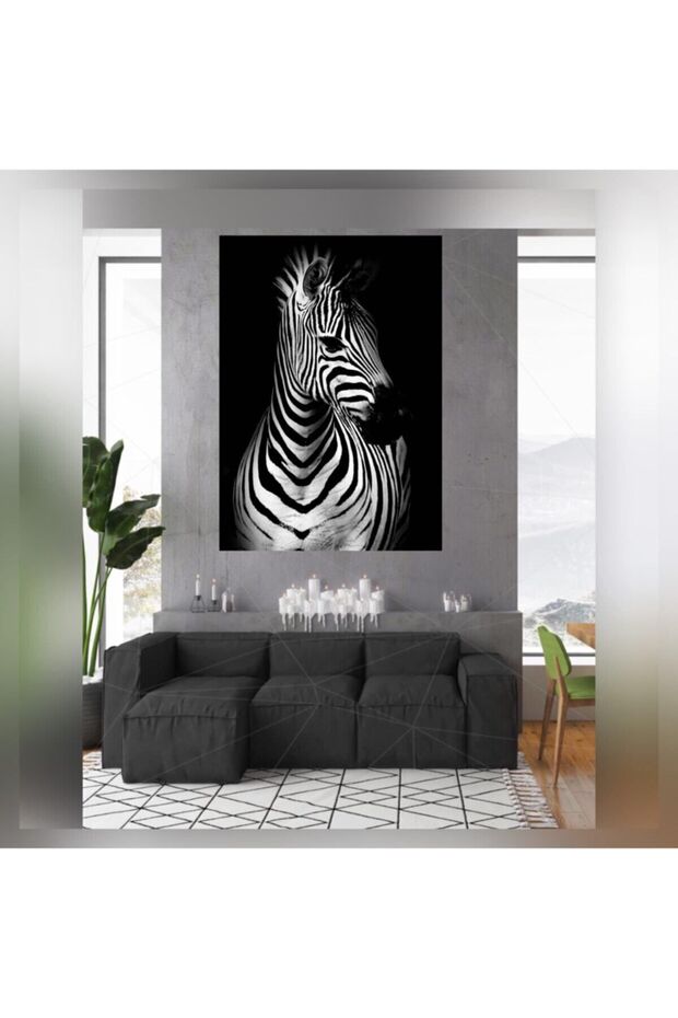 Zebra - 1