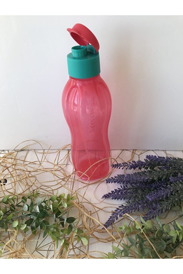 Eko Şişe 750ml - 1