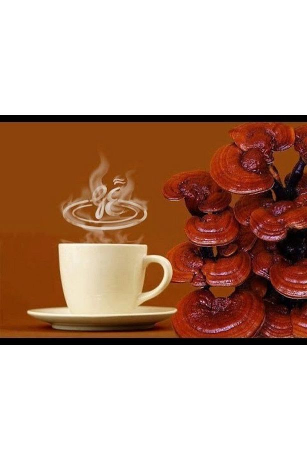 Gano Excel Rooibos Çay Organik - 3