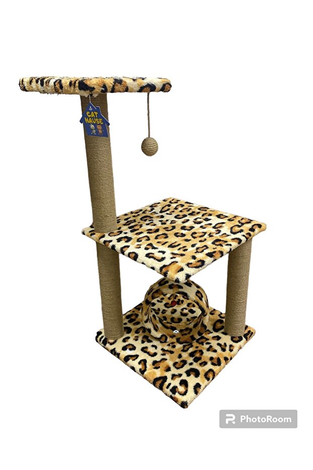 CTH 13 leopar KEDİ TIRMALA - 1