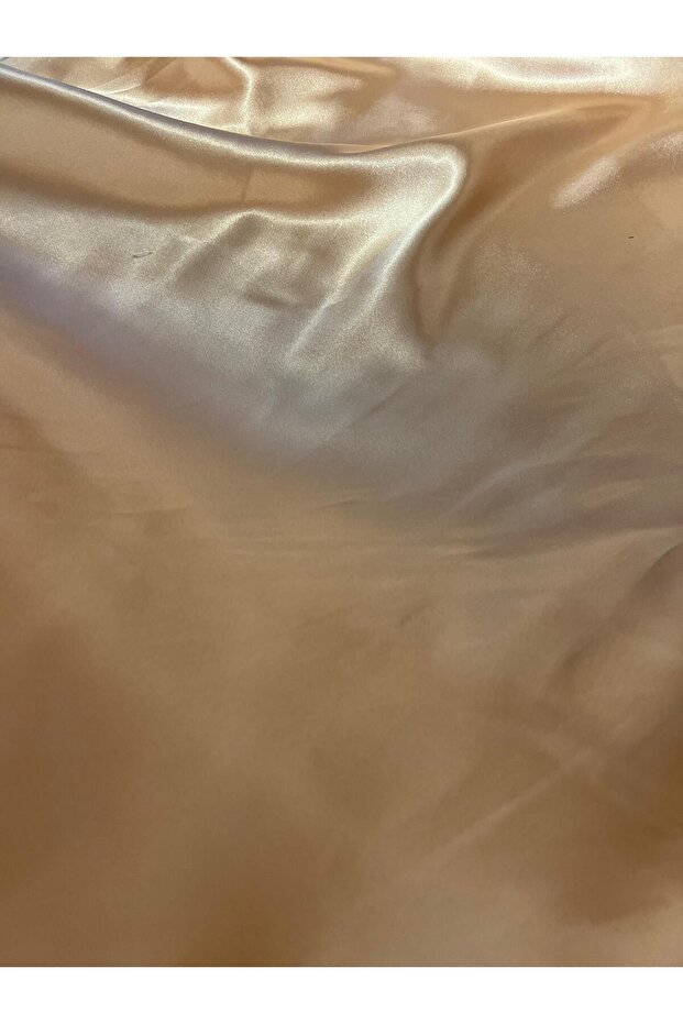 سلمون ساتان - 4