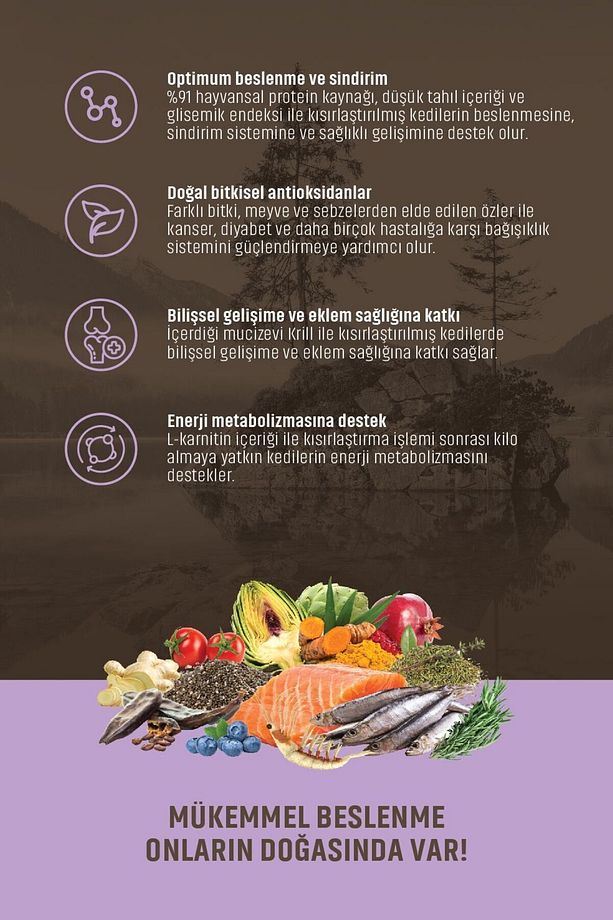 Low Graın Kısırlaştırılmış Kediler Için Somonlu, Hamsili Ve Kızılcıklı 2 Kg - 4