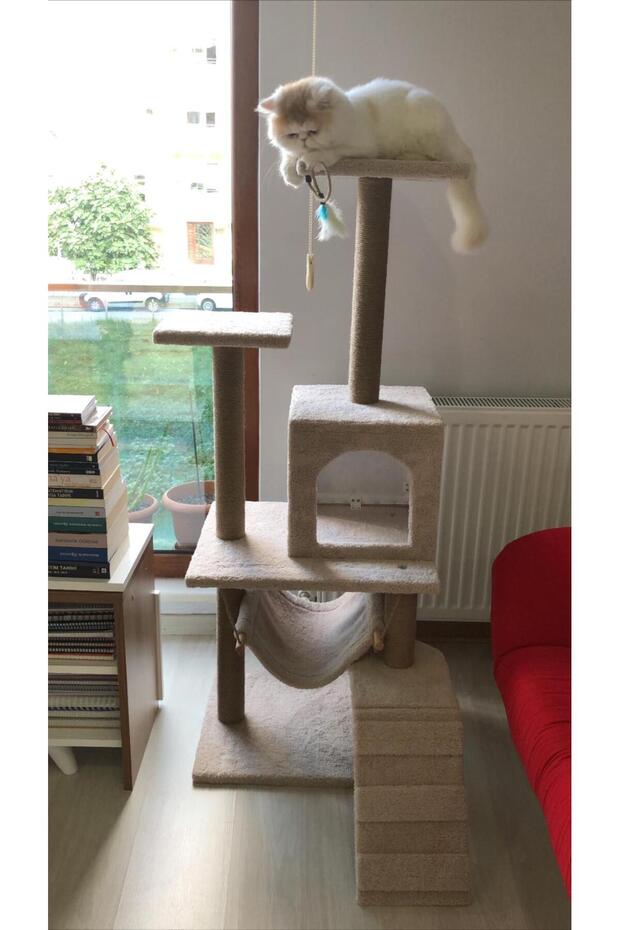 Luxury Cat Scratching House and Play Platform - with Hammock and Nest