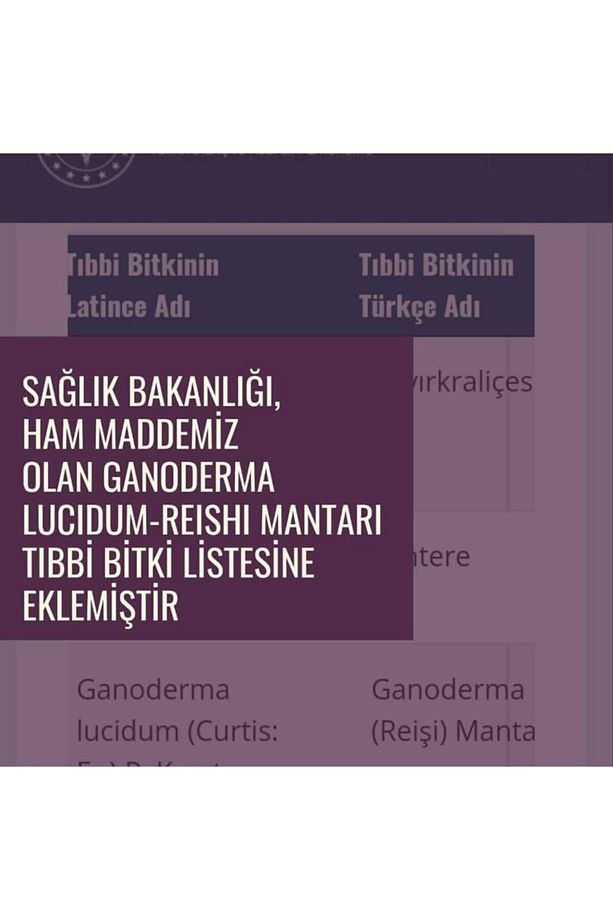 Gano Excel Rooibos Çay Organik - 4