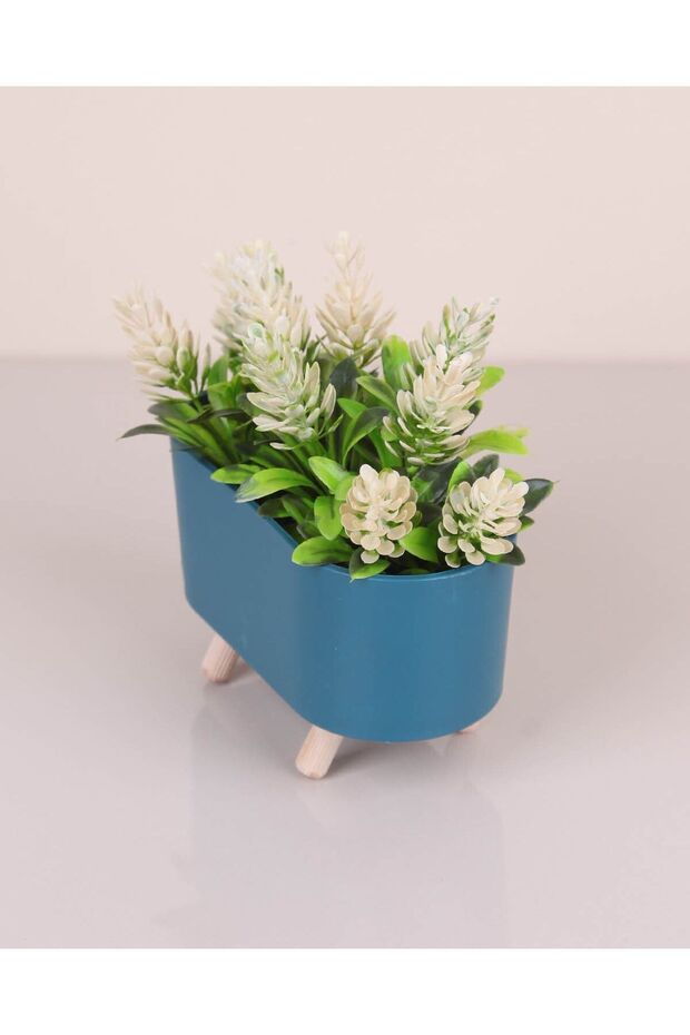 Saksıda Lavanta Çiçek - 1