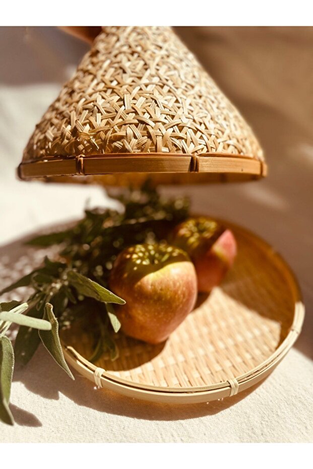 Pampas bambu Saklama Kabı - 2