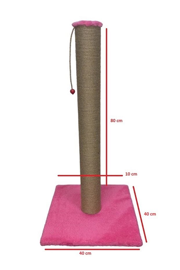 80 CM Cat Grinding Devi - 1