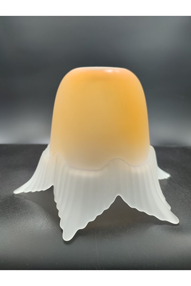 AVİZE CAMI.TURUNCU-MAT RENKTE.6 KANATLI.(E.27) - 1