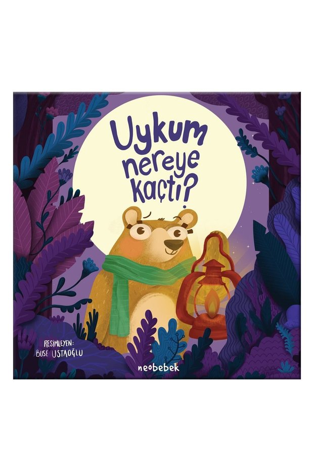 Uykum Nereye Kaçtı? Story Books Hardcover