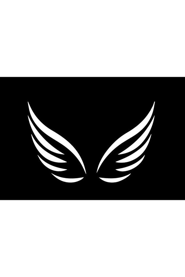 Araba sticker Melek Kanadı
