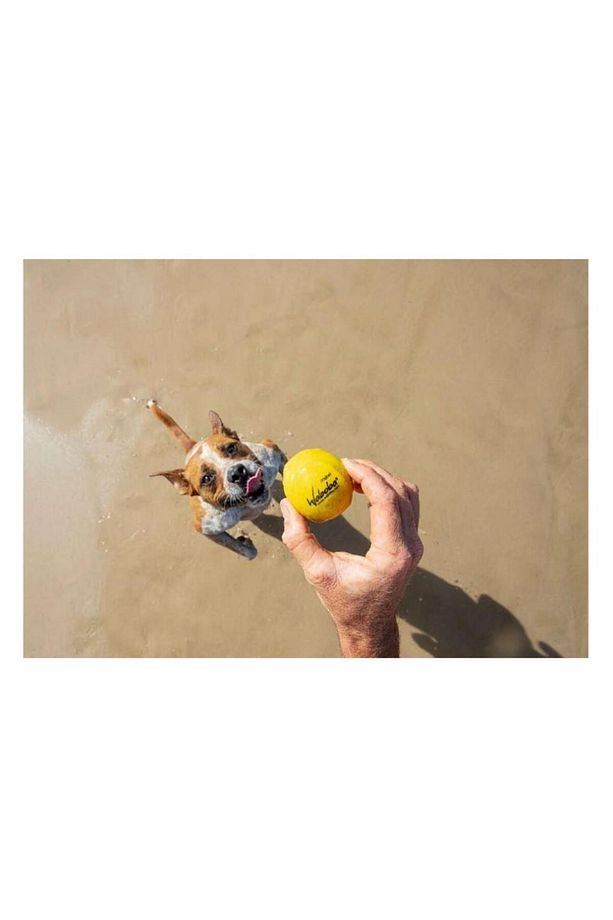 WABOBA FETCH SUDA ZIPLAYAN TOP KOPEK OYUNCAGI - 3
