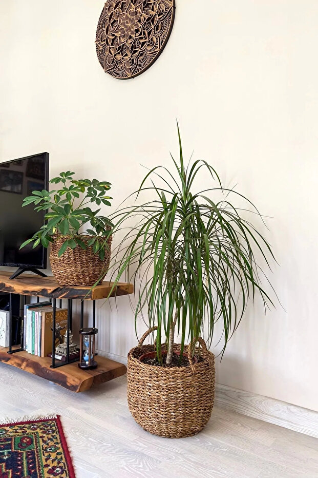 5 parça hasır sepet seti - 1