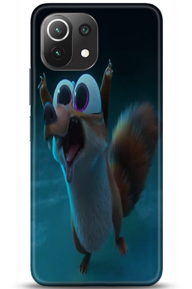 Xiaomi Mi 11 Lite Case Hd Printed Case - Followed Institution 0211