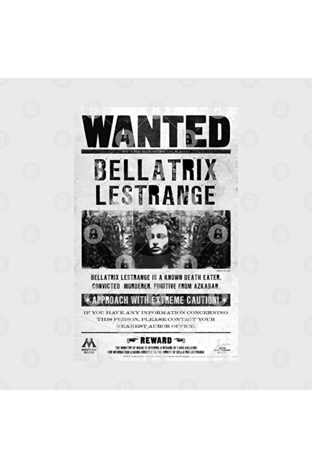 Bellatrix Lestrange Wanted Poster Mug, Gift, Dowry, Presentation Holder - 2