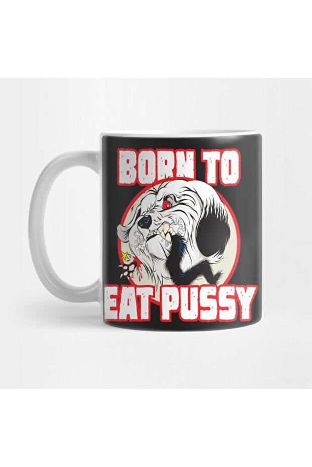 كوب أكل القطط - 1