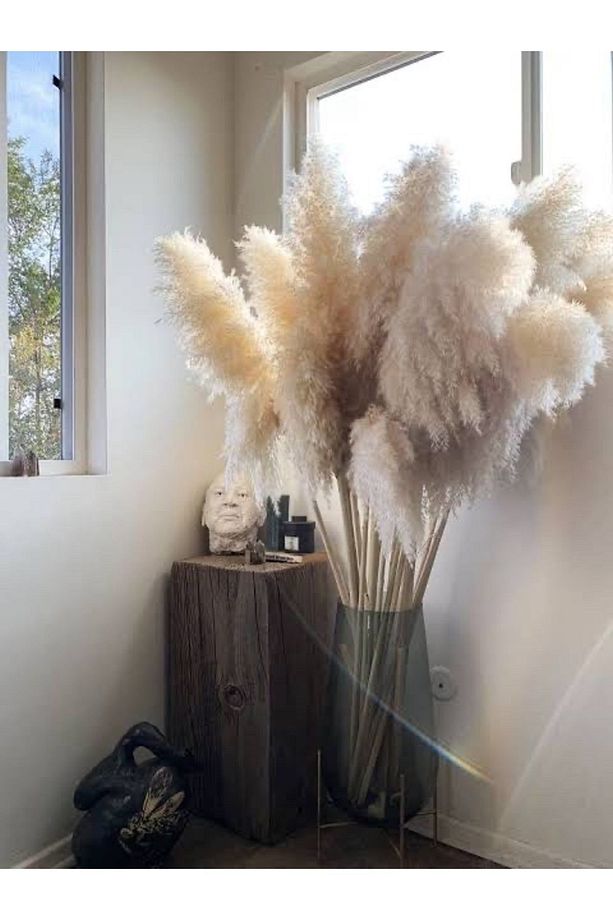 9 Adet Pampas Kuru Çiçek Dekorasyon - 5