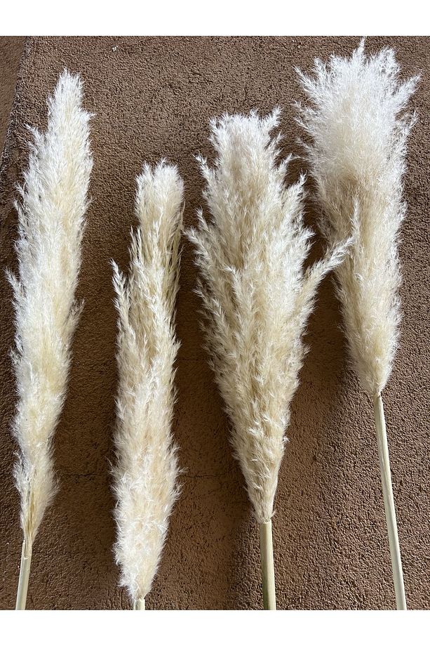 9 Adet Pampas Kuru Çiçek Dekorasyon - 1
