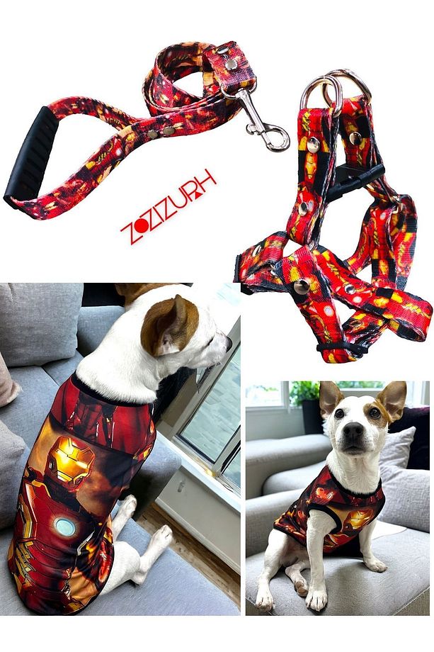 Kedi ve Köpek Kıyafetli Göğüs Tasması ve Gezdirme Kayışlı Set - 7