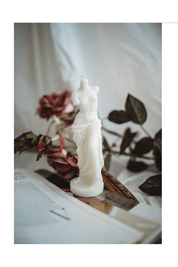 Venüs silikon Kalıbı - 5