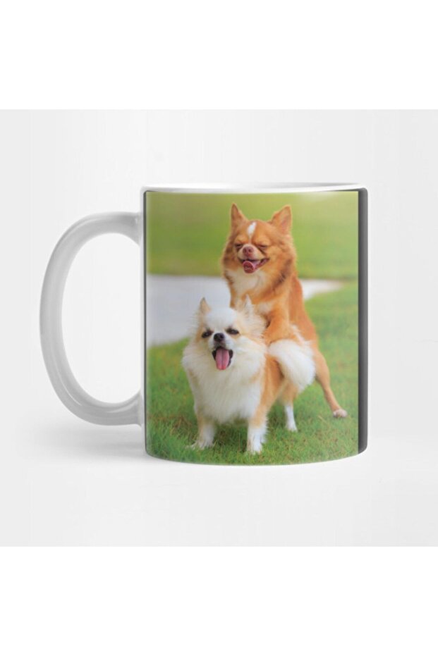 Chihuahua Humping Mug - Elegant Hesit Cut Prank Shoes