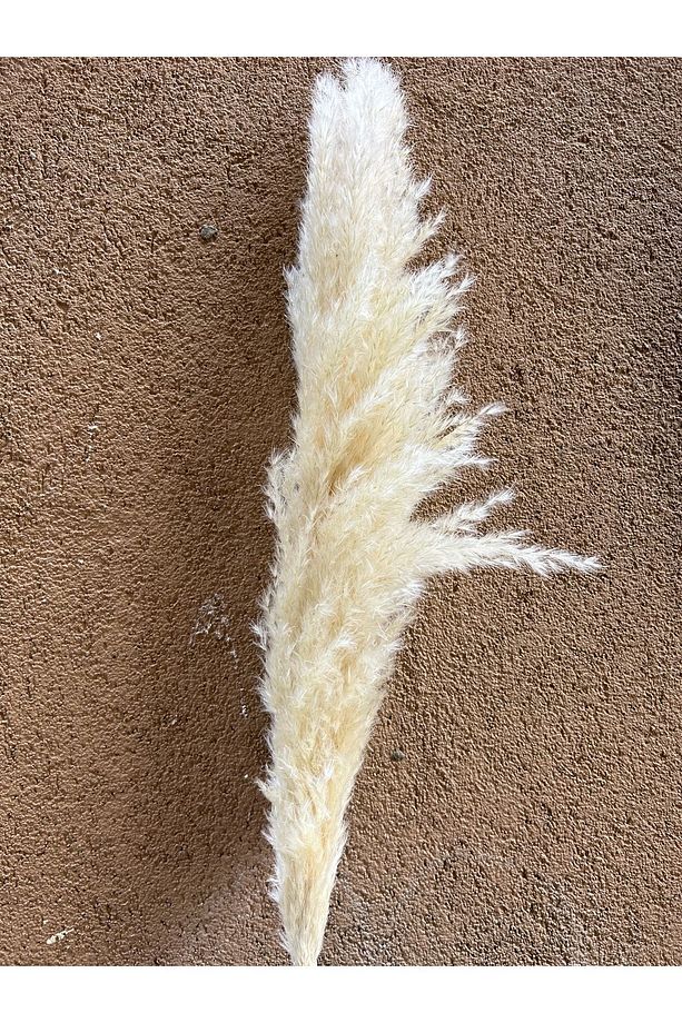 9 Adet Pampas Kuru Çiçek Dekorasyon - 2