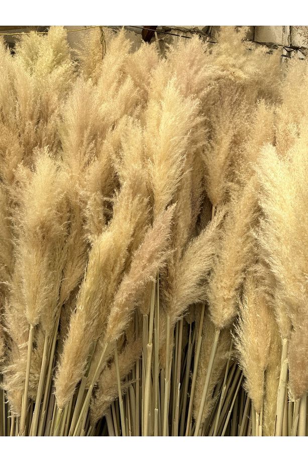 9 Adet Pampas Kuru Çiçek Dekorasyon - 3