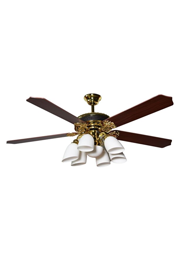 Pihu Tavan Vantilatörü  Prinç - 1