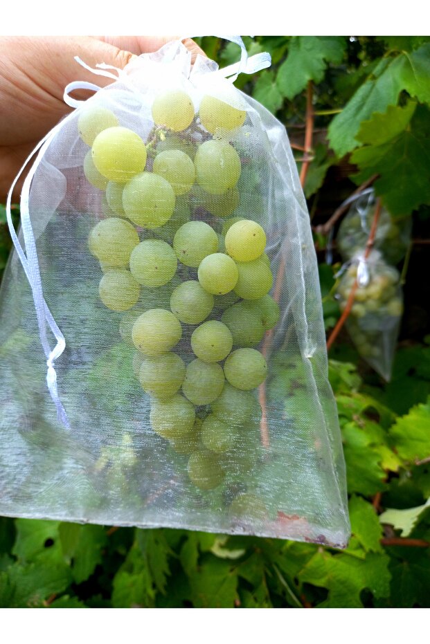 Grape Fruit Protection Bag, Medium Size Grape Tulle Bag, 50 Pieces (15X24 cm), Grape Bag