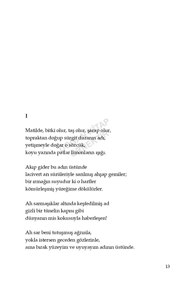 Yüz Aşk Sonesi - 5