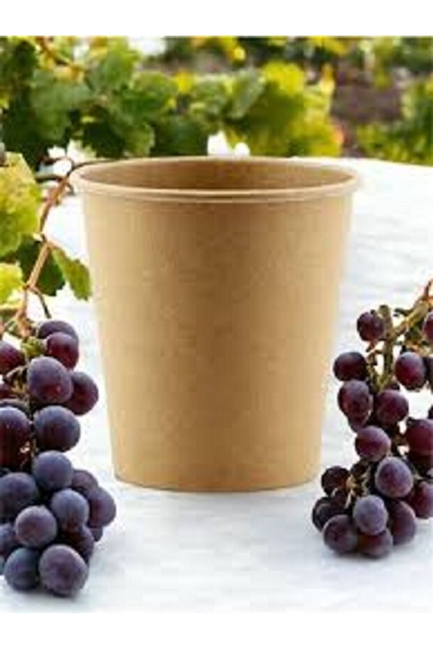 Karton 14 Oz Bardak - 20 Adet - 3