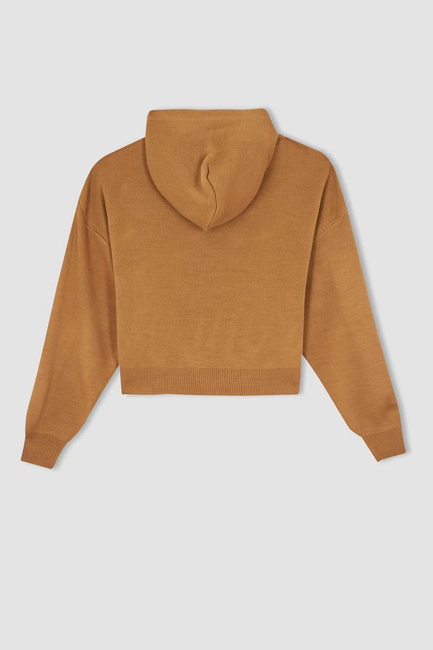 Oversize Fit Kapüşonlu Kazak R1700az22au - 8