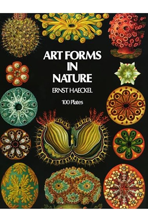 Art Forms In Nature - 1