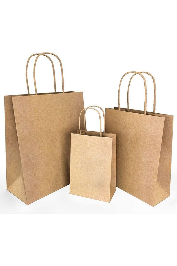 Kraft Kâğıt Poşet (25x12x31 Cm) Burgu Saplı Kâğıt Torba (25 Adet) Kâğıt Çanta - 6