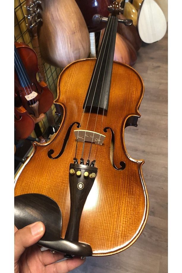 Swing Sv-544 Keman El Yapımı Seviyesi 4/4 Ölçü Tam Set - 3