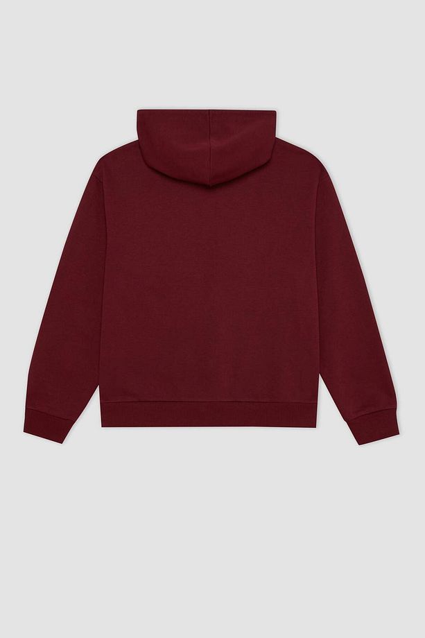 DFC - Relax Fit Kapüşonlu Kalın Fermuarlı Sweatshirt Hırka - 3