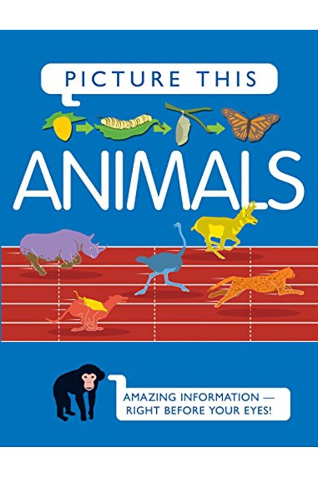 Picture This Animals
