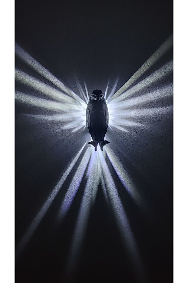 Kartal Led Duvar Lambası Aplik,pla - 2