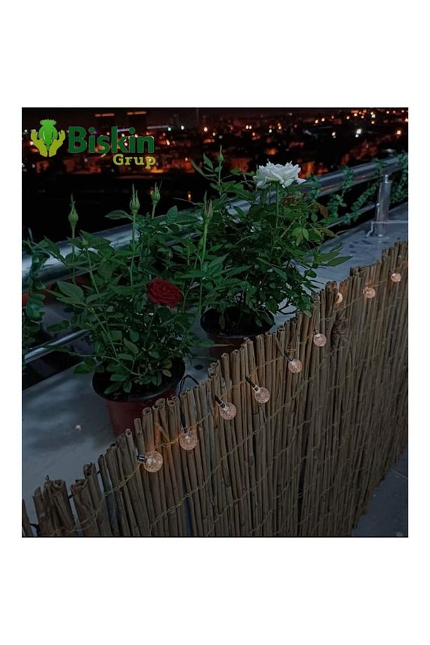 90cm X 5 Metre Bişkin Bambu Kamış çit , Reedfence Bahçe ve Balkon Çiti, Hasir - 6