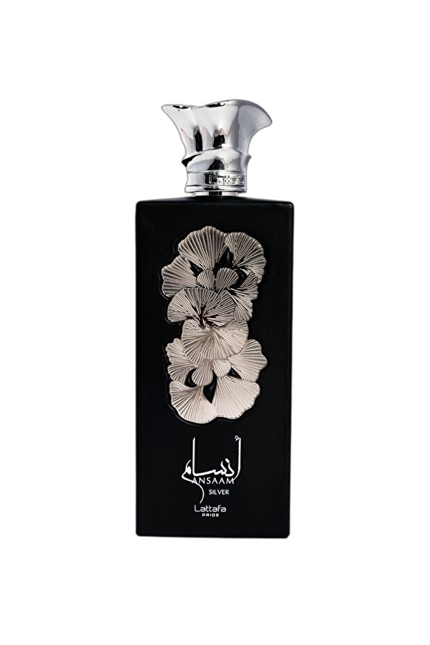 ansaam silver - 2