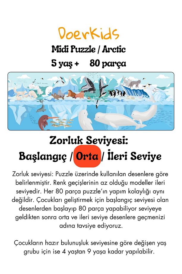 Kuzey Kutbu Su Altı Su Üstü Midi Puzzle | 4-9 Yaş 80 Parça - 5