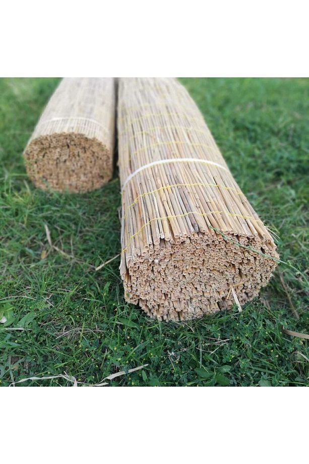 Kamış Hasır Kargı 2 X 5 - 5