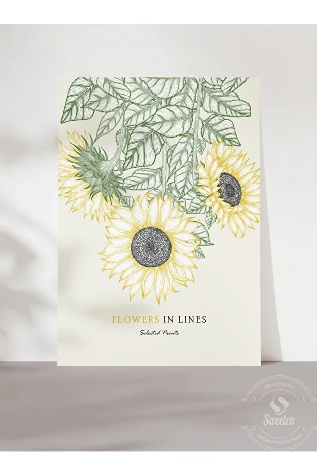 Flowers in Lines No2 Çerçevesiz Poster | Çizgi Çiçekler No2 Poster - 1